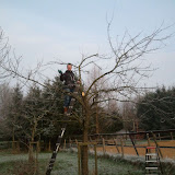 Appelbomen snoeien in Hijken, Drenthe Appelbomen snoeien in Hijken, Drenthe
