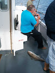 Image80.jpg