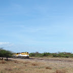 El tren del Cerrejón El tren del Cerrejón