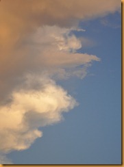 2011-10-29 019 2011-10-29 019