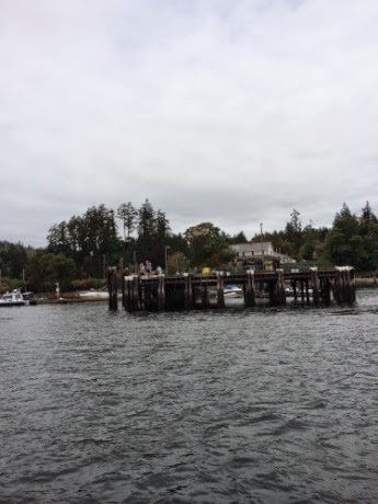 IMG_6120.jpg IMG 6120