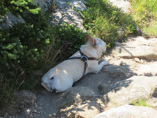 I'll take five in the shade.