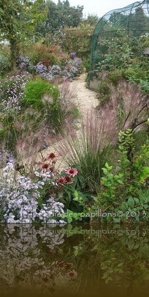 IMG_3791 IMG_3791