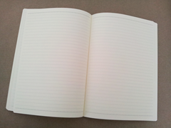 Open notebook, plain pages lightly lined and no margin.