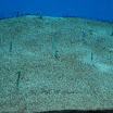 hokkaido_530.jpg