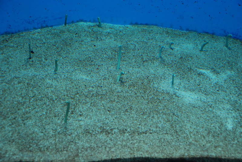hokkaido_530.jpg