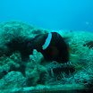 DSC_1905.JPG