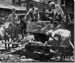 Men unloading corpses fr. truck in preparation for cremation after bloody rioting between Hindus and Muslim
