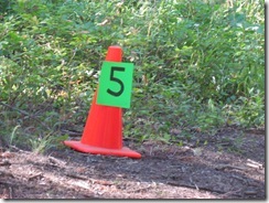 IMG_8167 IMG_8167