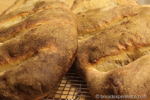 fougasse_1227 fougasse_1227