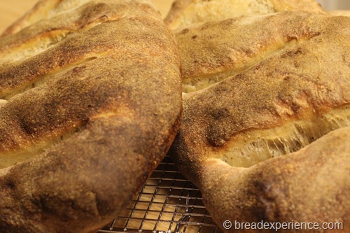 fougasse_1227