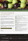 Website Olivas do Sul