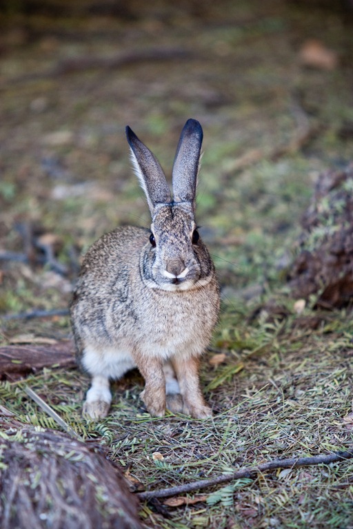 [20111231-IMG_0066-3%255B7%255D.jpg]