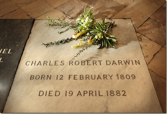 MUERTE DARWIN muerte darwin: