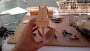 mayflower_009.jpg
