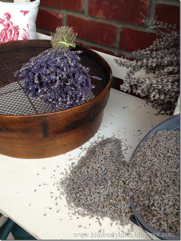 lavender_harvest (14)