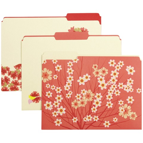 [blossomfilefolderscontainerstore4.jpg]