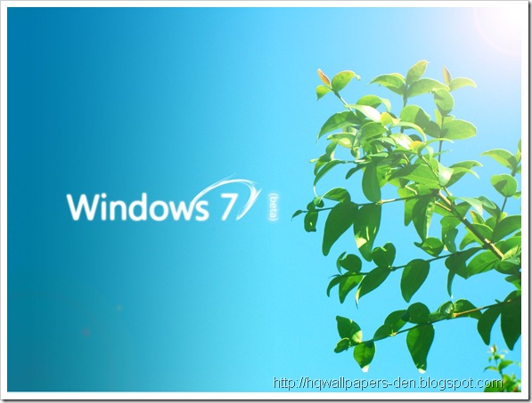 windows7hdwallpaper9