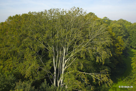 IMG_2596.jpg