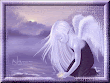 Magick Of Sexy Angel