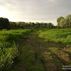 dsc02979.jpg