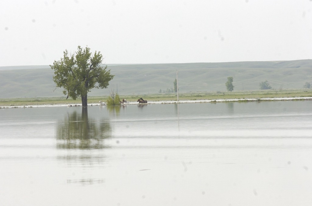 [_DSC0298%255B5%255D.jpg]