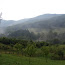 P8308927.JPG