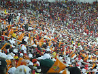 Africa Cup of Nations
