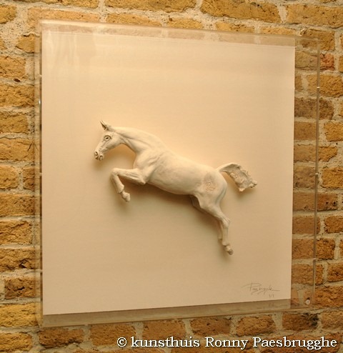 [passie%2520voor%2520paarden%2520078%255B9%255D.jpg]