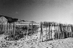 Sand-Dune-Fencing-10