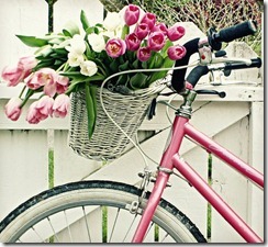 bicycle with tulips