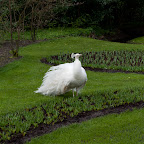 DSC_0438.jpg