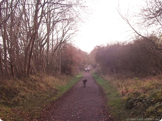 bishop - brandon walk bishop - brandon walk