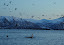 Photo: C.E. Ilmoni/Arctic Whale Tours