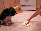 IMG_2271.JPG