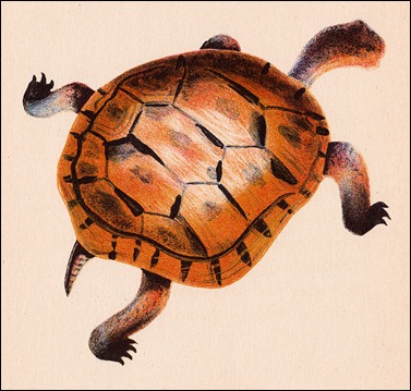 illustrated by H. Guertik
