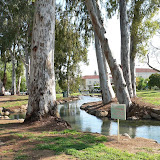 Dan, affluent du Jourdain qui traverse le Kibboutz