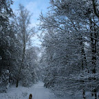 3-1-2010-026.jpg