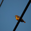 DSC_0004.JPG