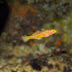P8255903