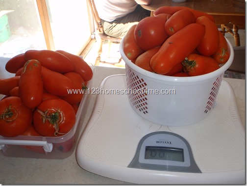 Garden Fresh Marzano Tomatoes Garden Fresh Marzano Tomatoes