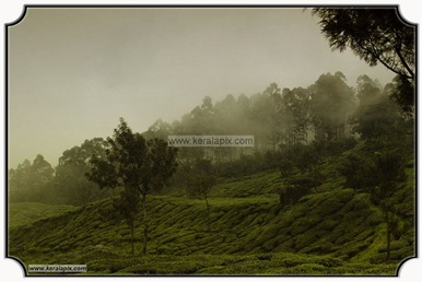 MNR_334_DSC0193_www.keralapix.com