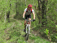 IMG_3531.JPG
