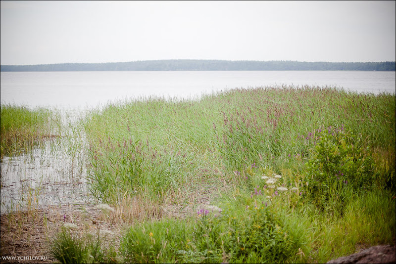 _MG_4634.jpg