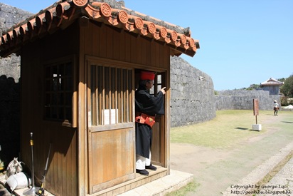 IMG_7608 IMG_7608