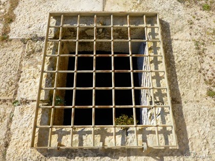 [P1060374%255B3%255D.jpg]