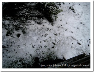 IMG_8481 IMG_8481
