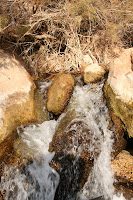 IMG_8290.JPG Photo