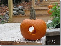 circle pumpkin