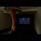 Odile and Odette, 2005 (installation shot)